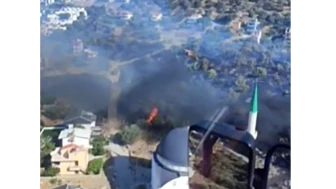 İzmir Dikili'de Orman Yangını Çıktı Havadan ve Karadan Müdahale Ediliyor