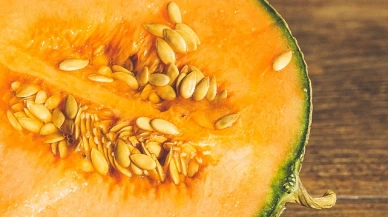 Kavun Çekirdeği Faydaları Nelerdir? Nasıl Tüketilmeli, Ne Kadar Yenmeli?