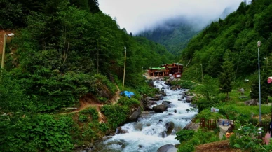 2025 Yazında Türkiye Tatil Aramalarında Neden Zirvede Yerleşti?