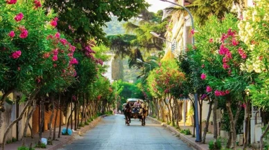 Büyükada’da Ücretsiz Plajlar Nerede? Aya Nikola ve Nizam Plajı’na Nasıl Gidilir?