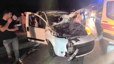 Karlıova’da Feci Kaza: Hafif Ticari Araç Ata Çarptı, Abdullah Kaymaz Hayatını Kaybetti