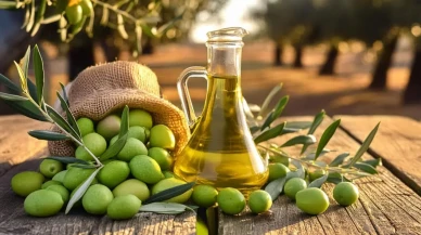 Zeytinyağında Kriz Fırsata Dönüşebilir! Balıkesir İtalya’daki Kuraklıkla Doğan Açığı Kapatabilir