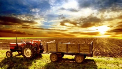 Temmuz 2025 Güncel Gübre Fiyatları: Üre, NPK ve Organik Gübrelerde En Ucuz Markalar