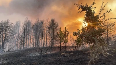 Afyonkarahisar Sinanpaşa’da Orman Yangını: 3 Mahalle Tehlike Atlattı