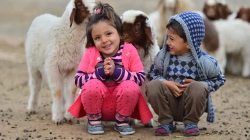 Evlatlık Kavramı ve İslam Hukuku: Kur’an ve Sünnette Evlat Edinme Nasıl Değerlendirilir?