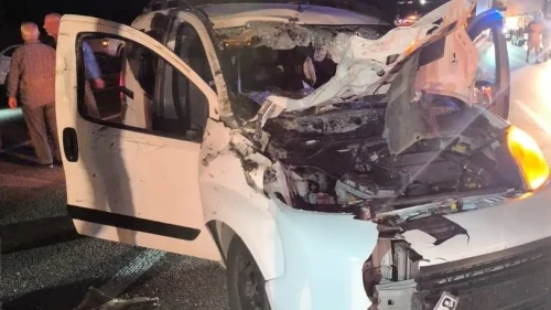 Karlıova’da Feci Kaza: Hafif Ticari Araç Ata Çarptı, Abdullah Kaymaz Hayatını Kaybetti