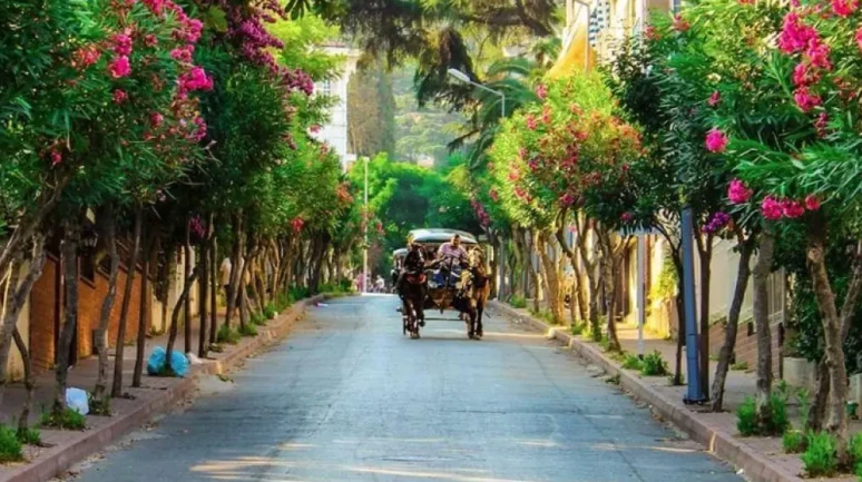 Büyükada’da Ücretsiz Plajlar Nerede? Aya Nikola ve Nizam Plajı’na Nasıl Gidilir?