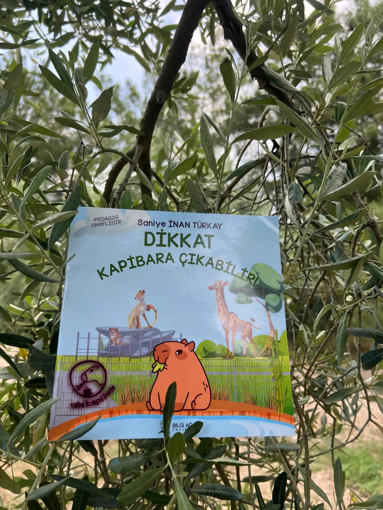 Eğitimci ve çocuk kitapları yazarı Saniye İnan Türkay’ın kaleme aldığı bu eser, çocukların hayvan sevgisi, sorumluluk bilinci ve kardeşlik gibi değerleri öğrenmesine katkı sağlıyor.